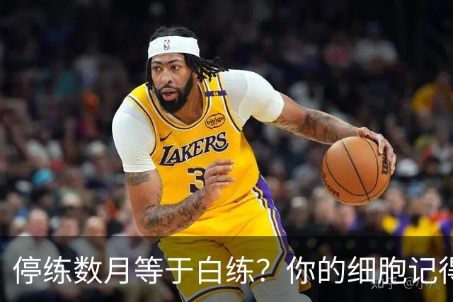 停练数月等于白练？你的细胞记得每一次流汗