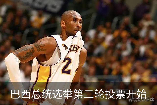 巴西总统选举第二轮投票开始