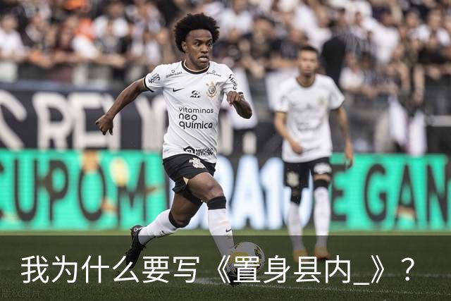我为什么要写《置身县内 》？