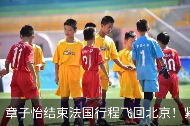 章子怡结束法国行程飞回北京！紧身上衣配阔腿裤纤细腰线十分吸睛