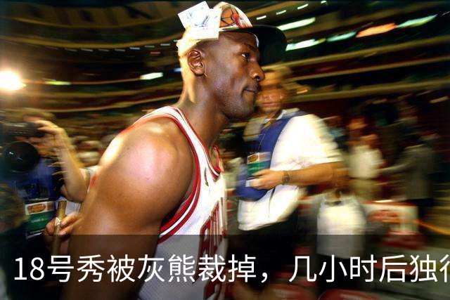 18号秀被灰熊裁掉，几小时后独行侠用双向合同签下他
