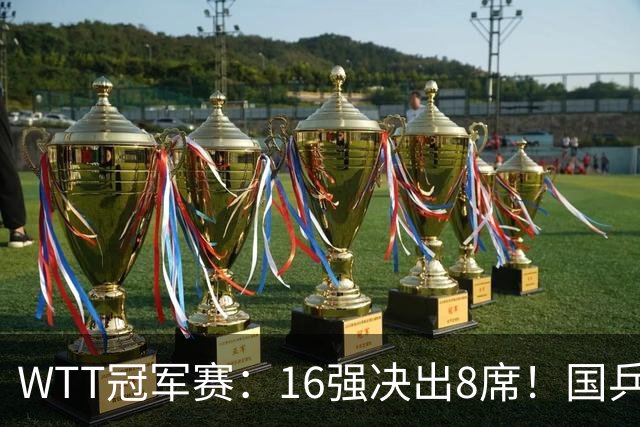 WTT冠军赛：16强决出8席！国乒大获全胜，林昀儒鏖战5局逆转